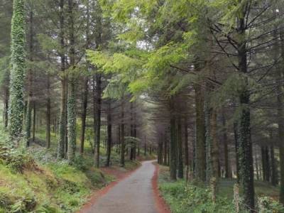 Parque Natural de Urkiola;que visitar en la sierra de madrid parque natural grazalema sierra de mont